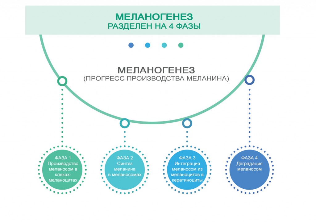 4-ФАЗЫ